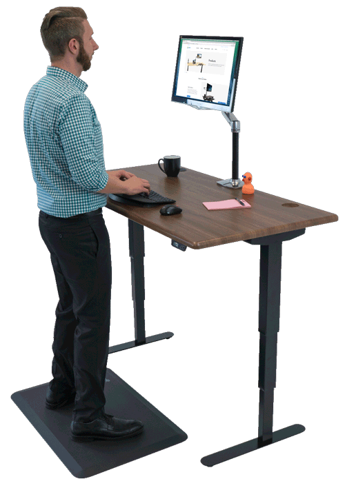 Sit Stand Desks